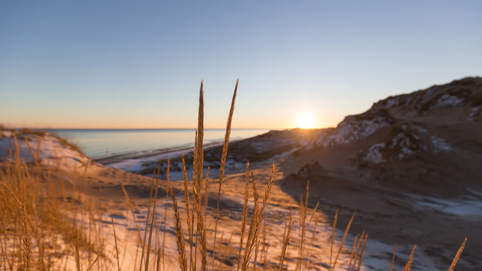 Strand om vinteren i Skagen