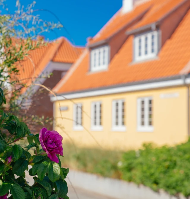 Sommerdag i Østerby, Skagen